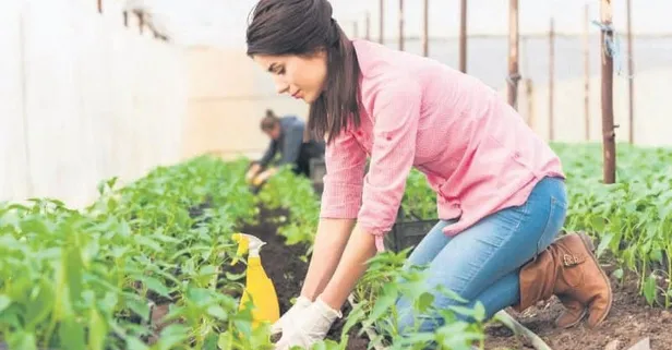 Orman köylüsüne hibe ve faizsiz kredi! Üretim yapmak isteyen orman köylüsünün yardımına ORKÖY destekleri devrede