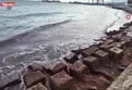 Tekirdağ kıyılarında kızıl yosun istilası