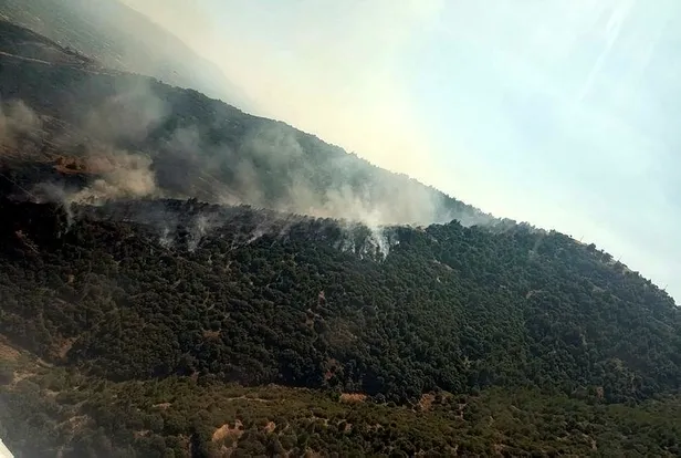 İzmir'deki orman yangını dakikalar içerisinde kontrol altına alındı-2