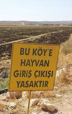 Siverek'te kuduz karantinası