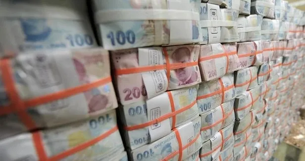 Anne olmaya hazırlanan kadınlara 9 bin 287 TL devlet desteği veriliyor-2