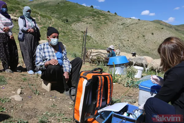 Tunceli'de sürü sahipleri 2 bin 500 metre rakımlı yaylada aşılandı - 18