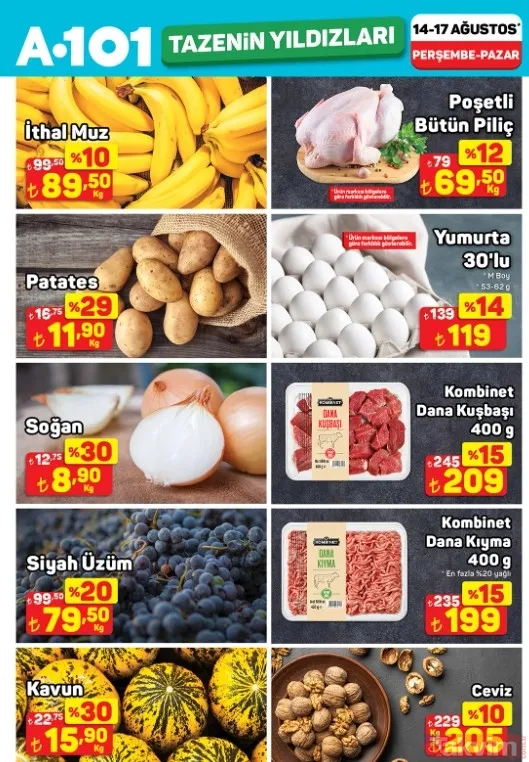 A101 21 Ağustos 2025 aktüel ürünler kataloğu: Halı ve koltuk yıkama makinesi geliyor! - 15