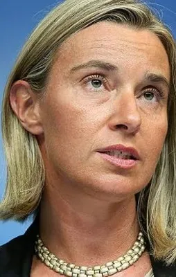 AB'den Afrin açıklaması