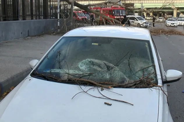 Yolda giden aracın üzerine ağaç devrildi