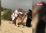 Deve şişman adamı taşıyamadı
