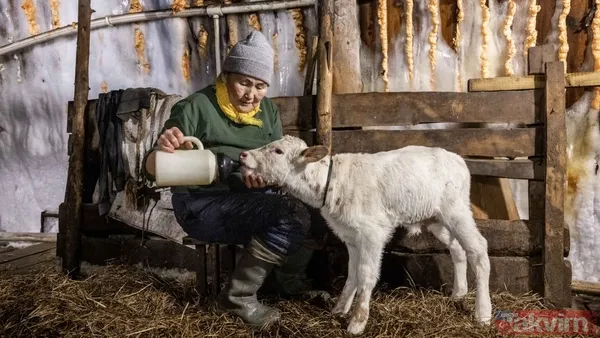 Dünyanın en soğuk köyü! Eksi 71’de insanlar evlerinde sauna kabinine sığınıyor - 7