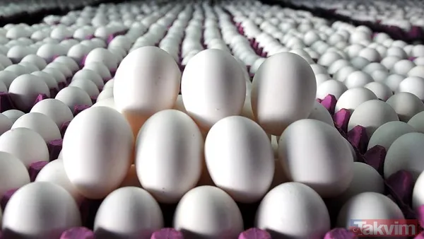 Vatandaş sepetini ucuza dolduracak! Tarım Kredi Marketlerinde indirim başlıyor - 22