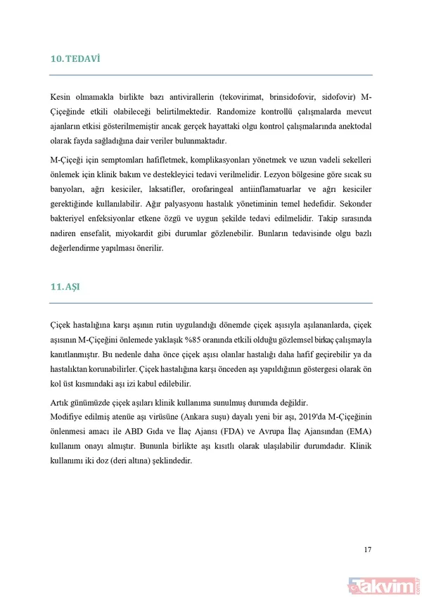 Sağlık Bakanlığı Maymun Çiçeği (MPOX) rehberi yayımladı! İşte virüsün bulaşma yolları, belirtileri ve tedavisi... - 23