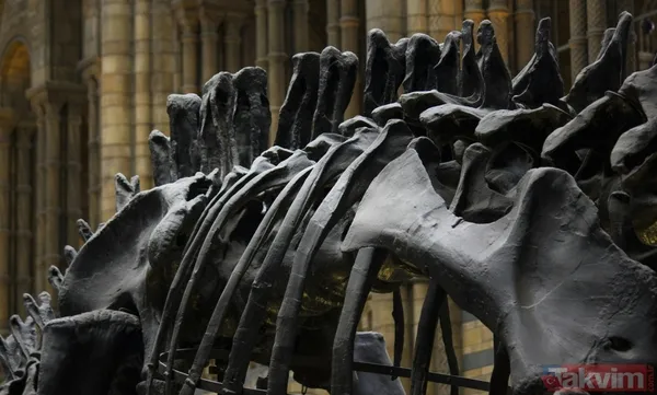 230 milyon yıldır oradaydı! Meğer evrenin en eski... - 1