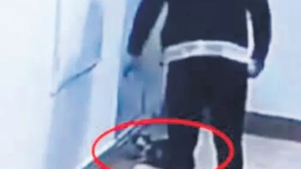 Kedi Erosu vahşice öldürmüştü! İbrahim Keloğlanın pişkin savunması çileden çıkardı