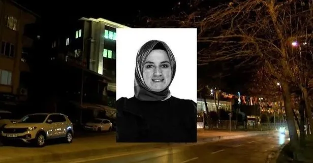 AK Parti İstanbul İl Kadın Kolları Başkan Yardımcısı Fatma Sevim Baltacı’nın ölüme neden olan sürücünün 6 yıla kadar hapsi istendi