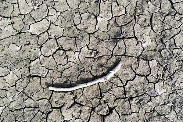 istanbulda-su-seviyesi-alarm-veriyor-barajlarda-doluluk-orani-yuzde-30un-altinda-1674474213046.jpg İstanbul'da su seviyesi alarm veriyor: Barajlarda doluluk oranı yüzde 30'un altında-6
