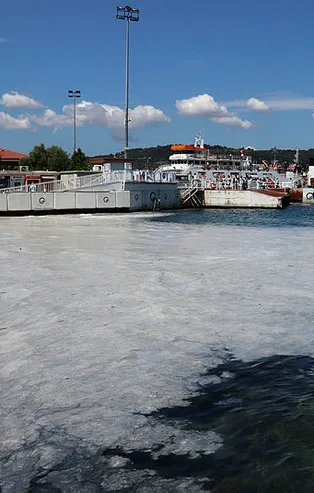 Marmara'daki müsilaj Ege Denizi'ne yayılır mı?