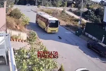 Bu nasıl canilik! Yerde yatan köpeği ezip kaçtı... Başrolde skandallarla gündemden düşmeyen İETT