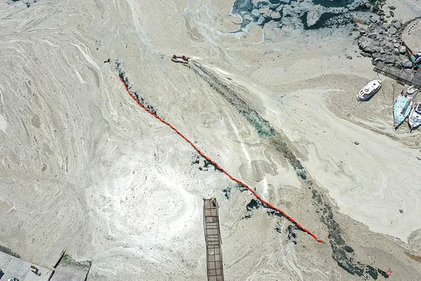 Marmara istila altında! Deniz salyasının (müsilaj) ilk raporu ortaya çıktı! Korkunç sonuç!-5