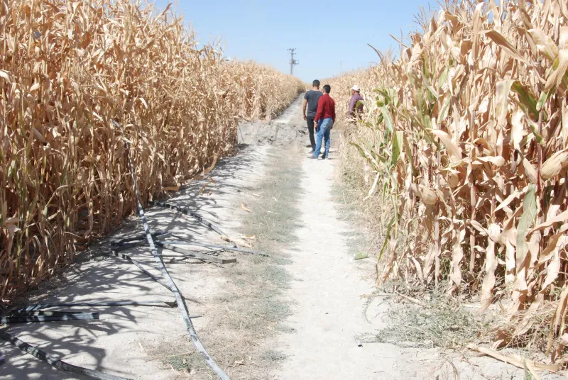 Konya'da yeni obruk oluştu - 11