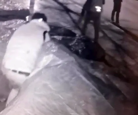 denizlide-sattigi-pahali-meyveler-calinan-manav-hakkini-helal-etmiyor-1608621674276.jpg Denizli'de sattığı pahalı meyveler çalınan manav hakkını helal etmiyor-3