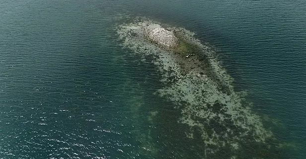 Sapanca Gölü alarm veriyor! Sular çekildi kalıntılar ortaya çıktı...  Acil eylem planı devreye alınacak