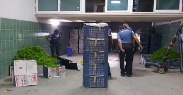 Mersin'de kan donduran cinayet! Evlenme teklifini kabul etmeyen Sinem'i öldürüp intihar etti