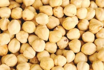 Diyabet için fındık!