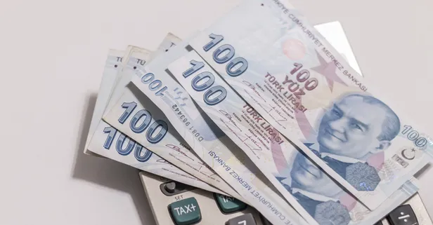 1000 TL pandemi sosyal yardım başvurusu nasıl yapılır? E-devlet 1000 TL pandemi destek sonucu sorgulama!