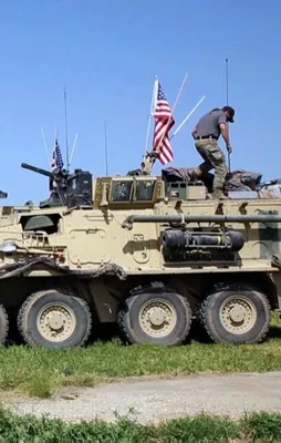 Robert Fisk: ABD, YPG’yi kullanıp atacak