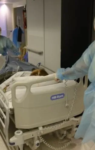 Son dakika: Fransa'da son 24 saatte koronavirüs kaynaklı 311 can kaybı