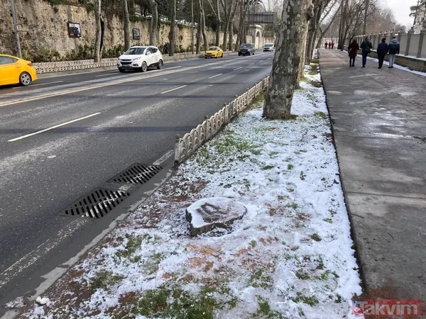 İBB'nin Çırağan'daki ağaç katliamının raporu açıklandı! Bilimsel çalışma yapılmadığı ortaya çıktı - 22