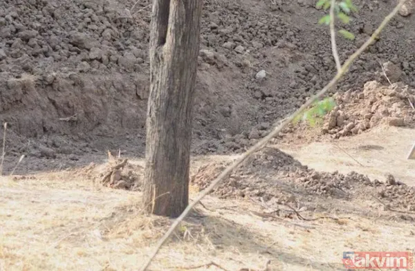 Bu fotoğraf bakanlara saç baş yoldurdu! Bir leopar var ama hadi bulun bulabilirseniz! Zor olduğuna eminiz arayanların yüzde 99'u vazgeçti - 2