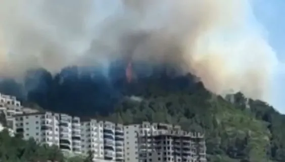 Hatay'da orman yangınları: Çok sayıda ekip sevk edildi!