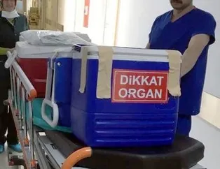 Organları 7 kişiye umut oldu