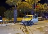 Adana'da akılalmaz olay! Turunç toplayan 3 kadın, otomobilin çarpması sonucu hayatını kaybetti