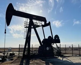 TPAO Şırnak için 150 kişi arıyor
