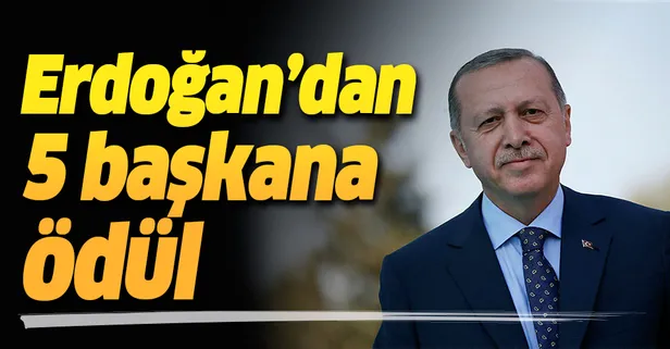 Erdoğan'dan 5 belediye başkanına ödül
