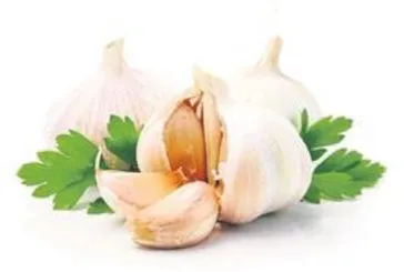 Kalp dostu sarımsak