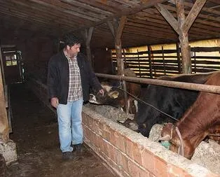 Köylülerin ’ayı’ tedirginliği