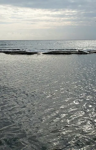 Marmara Denizi 15 metre çekildi! Tekirdağ'da ortaya çıktı! Gören fotoğrafını çekiyor