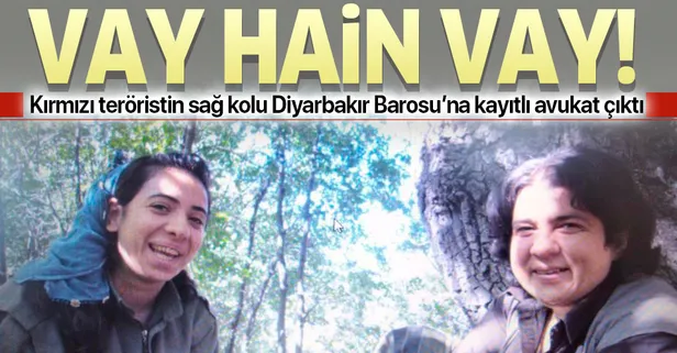 Kırmızı kategorideki terörist Müzeyyen Aydınlı’nın sağ kolu Diyarbakır Barosuna kayıtlı avukat Merve Nur Doğan çıktı!