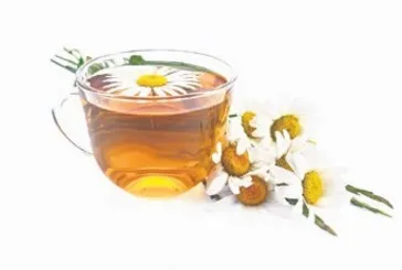 Dişlere papatya çayı