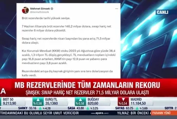 Merkez Bankası rezervlerinde yeni rekor!