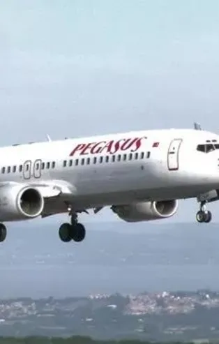 Pegasus uçağı piste giren tavşana çarptı! İki uçak pisti pas geçti