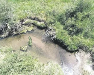 Katillere ’aç’ımayın