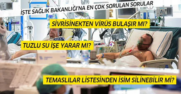 Sağlık Bakanlığı'na koronavirüsle ilgili en çok sorulan sorular: Ölen kişiden virüs kapar mıyım? Sivrisinekten korona bulaşır mı?