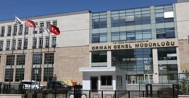 Orman Genel Müdürlüğü 74 daimi işçi alımı yapacak