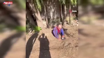Sokakta uyuyan yaşlı adamın yüzüne tekme atıp paylaştılar