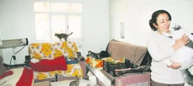 45 kediyle yaşıyor