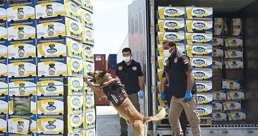 Türkiye tarihinin en büyüğüydü! Uyuşturucu zulasından Muz Kralı çıktı