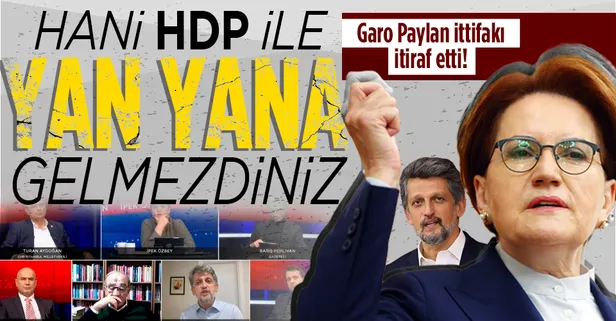 PKK'nın siyasi ayağı HDP'nin vekili Garo Paylan'dan ittifak itirafı :İYİ Partililer yolda çevirip 'bizi Erdoğan'dan kurtarın' diyor