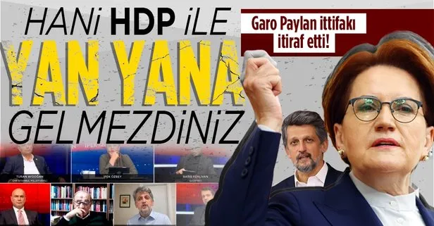 PKK’nın siyasi ayağı HDP’nin vekili Garo Paylan’dan ittifak itirafı :İYİ Partililer yolda çevirip ’bizi Erdoğan’dan kurtarın’ diyor